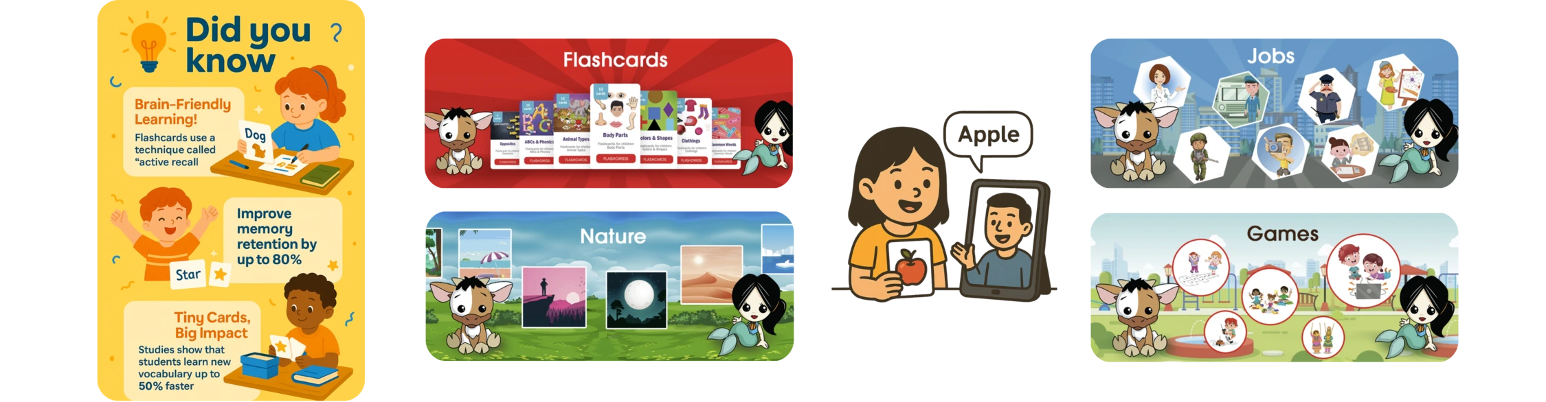 Flashcards - Content